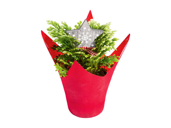Mini Christmas Tree