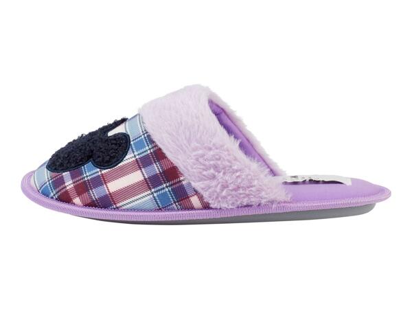 Ladies' Character Slippers