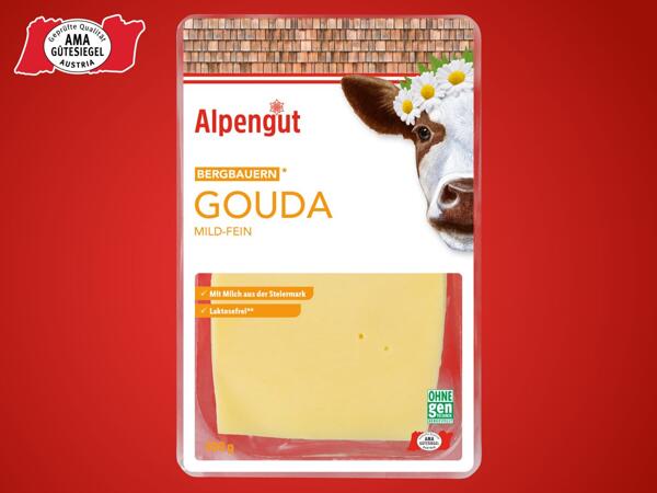 Bergbauern Gouda