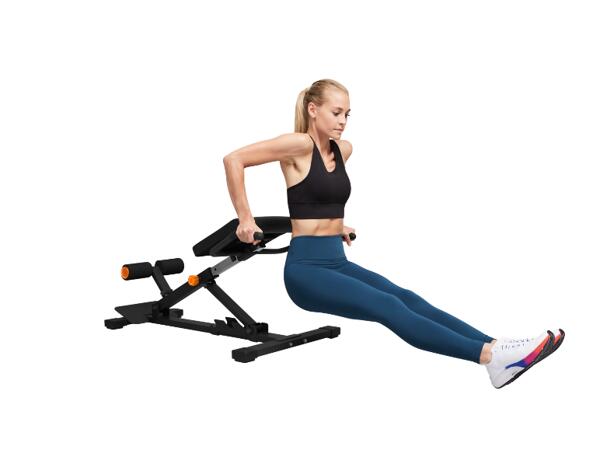 Multi Trainer
