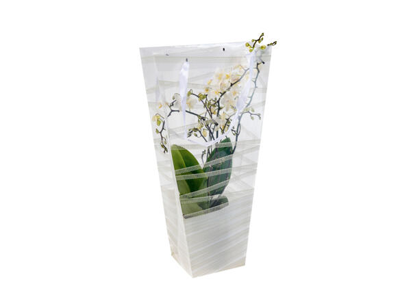 Gift Bag Orchid
