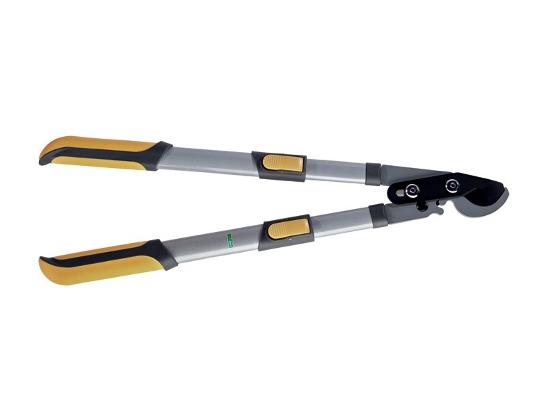 Extendable Loppers