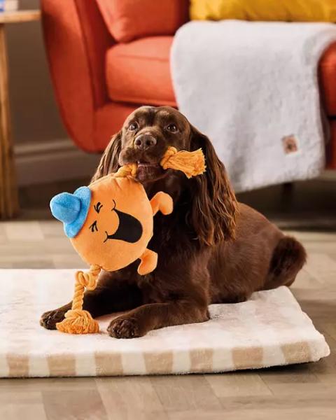 Mr Men Dog Toy