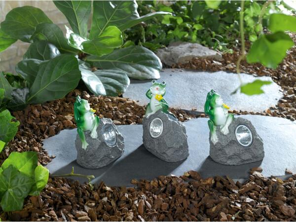 Livarno Home LED Solar Lights