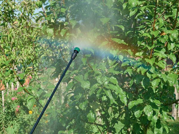 16L Backpack Pressure Sprayer