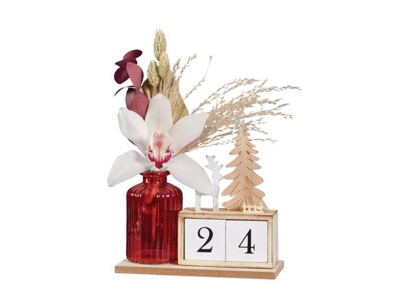 Orchid Advent Calendar