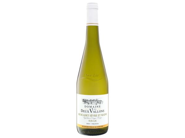 Muscadet Sevre et Maine sur Lie, Belleville-en-Beaujolais, French