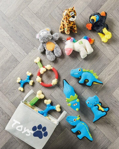 Ankylosaurus Playtime Dino Dog Toy