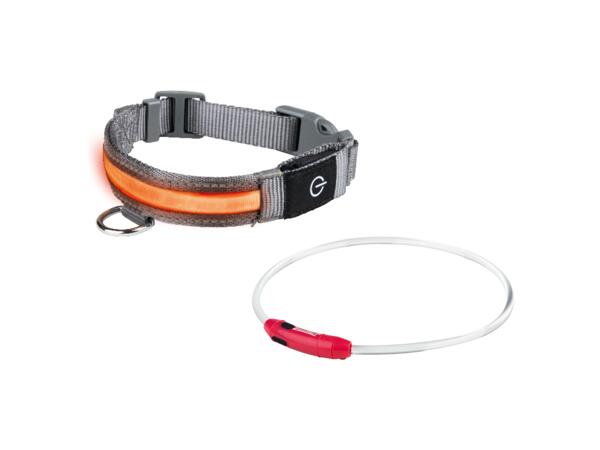 Hundhalsband