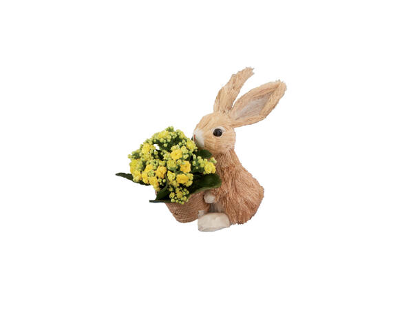Small Bunny Arrangement
