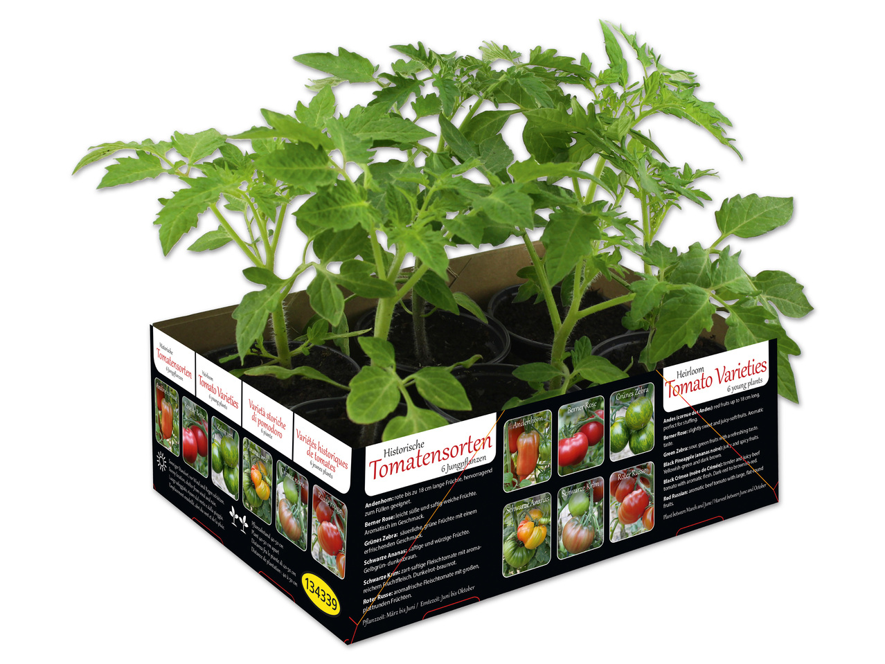 Historische Tomatensorten 6er Tray