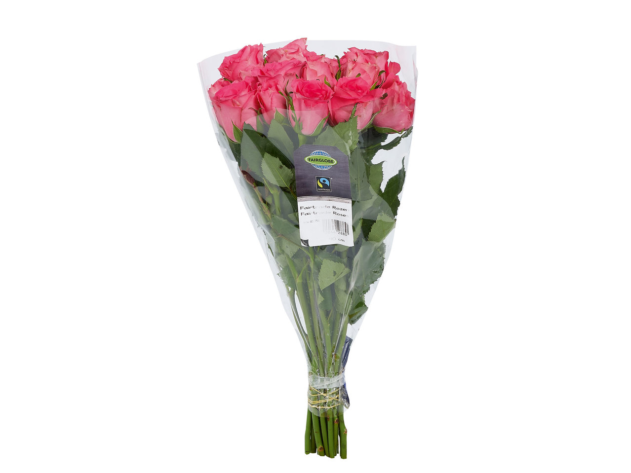 Fairtrade-Rose