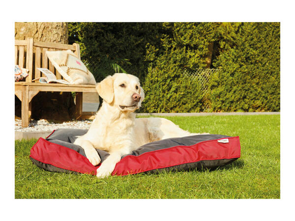 Zoofari Dog Outdoor Bed
