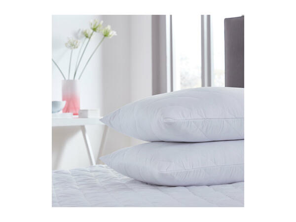 Silentnight Winter Nights Hollowfibre Pillow Pair
