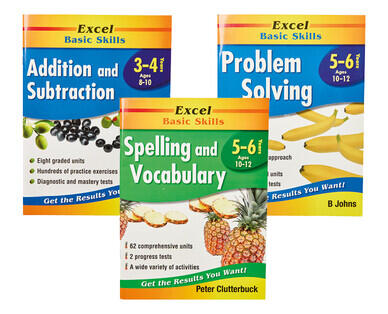 Excel Basic Skills Workbooks