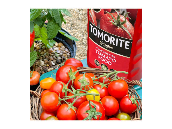Levington & Miracle-Gro 1L Pour & Feed Tomorite