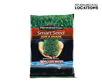 PENNINGTON Smart Seed Sun & Shade Mix