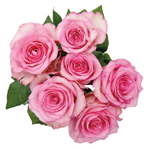 6 Roses Flower Bouquet - Assorted Color