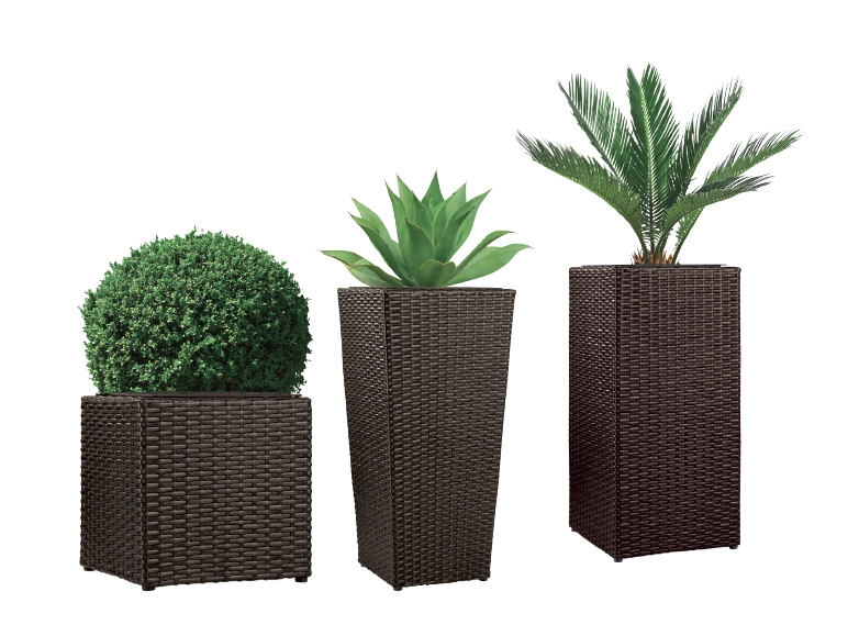 FLORABEST Wicker Planter