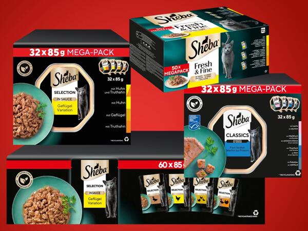 Multipack Katzenfutter