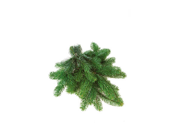 Assorted Seasonal Foliage