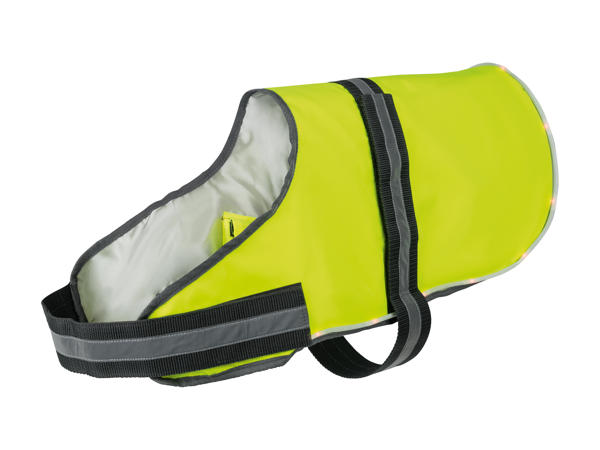 Manteau à LED pour chien