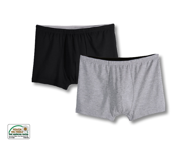 Boxer