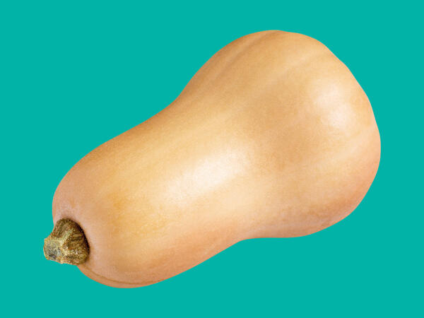 Butternut Squash