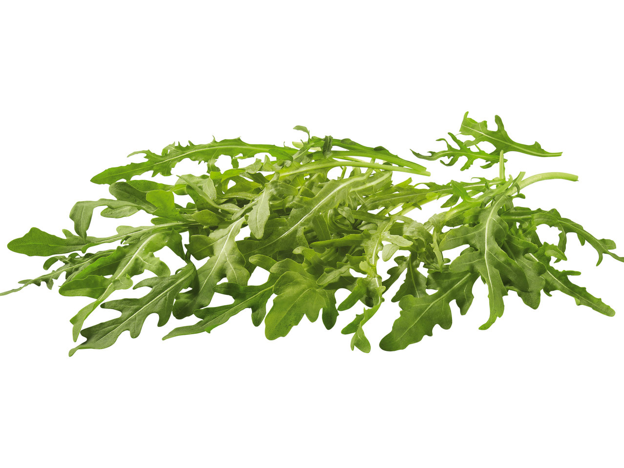 Rucola-Salat