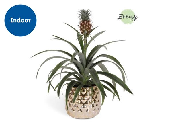 Pineapple Plant in Gold Ceramic