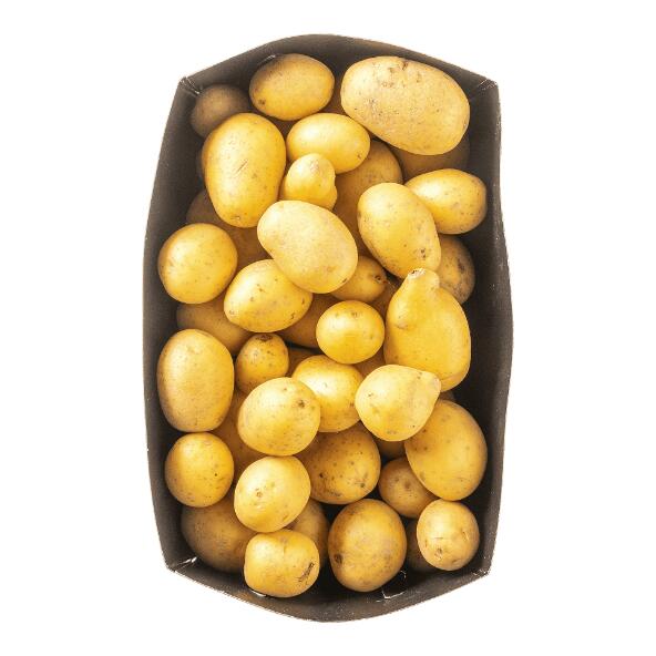 Grenailles primeur