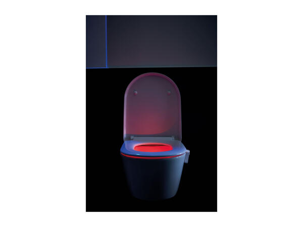 Toilet Night Light