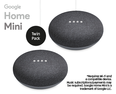 Google Home Mini Twin Pack