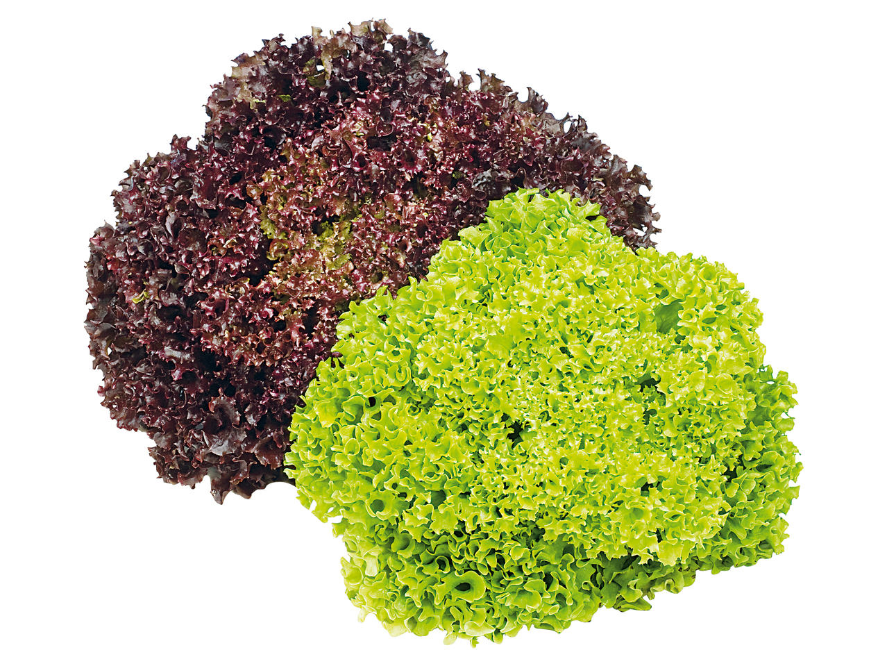 Österreichischer Bio Salat