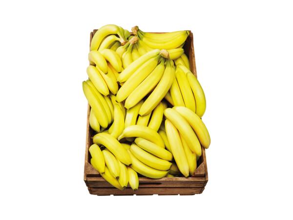 Bananer