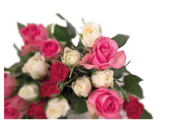 Romance Bouquet