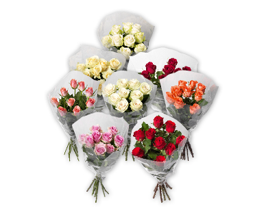 Roses à tiges longues pour la Saint-Valentin Fairtrade Max Havelaar GARDENLINE(R)