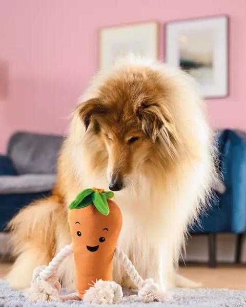 Kevin the Carrot Dog Toy
