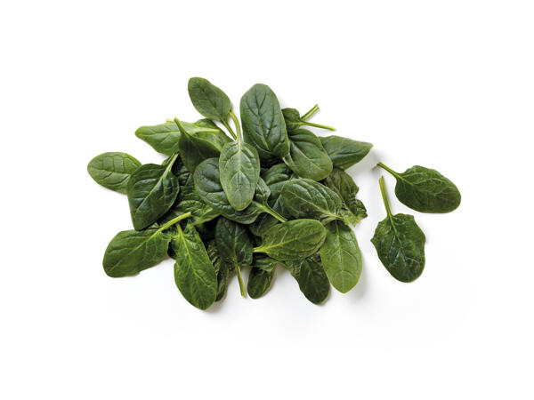 Spinach