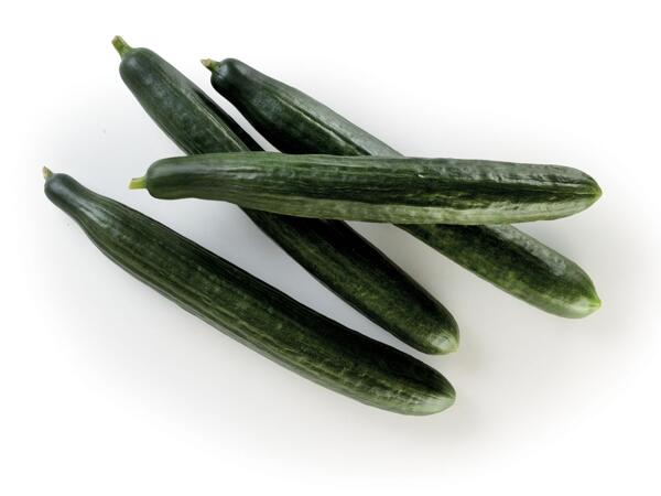 Dutch Cucumbers