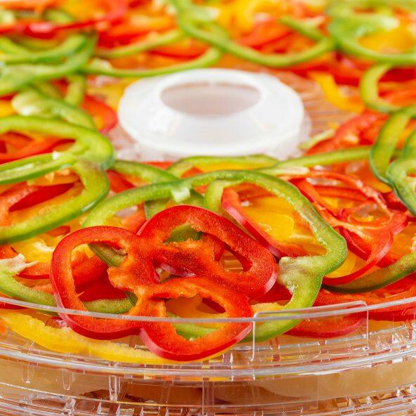 Dehydrator