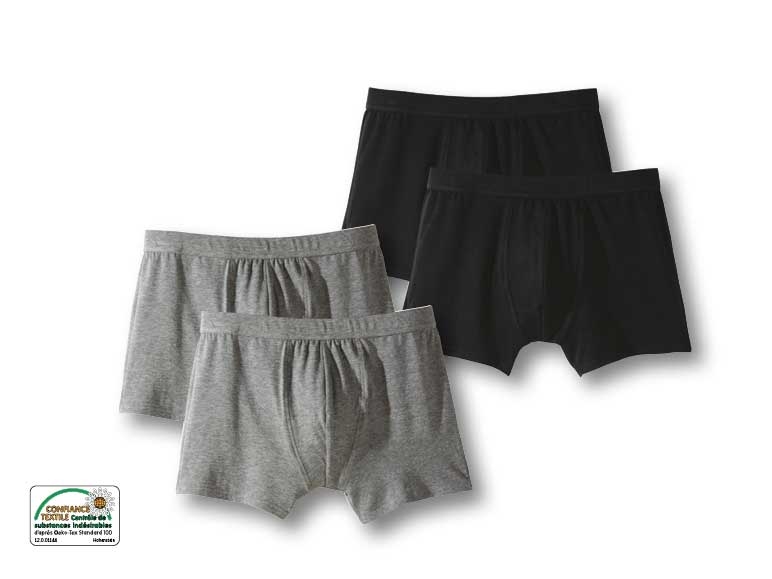 Boxer ***Cet article est disponible uniquement en Suisse alémanique.***