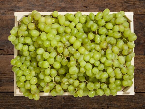 Raisin blanc sans pépins