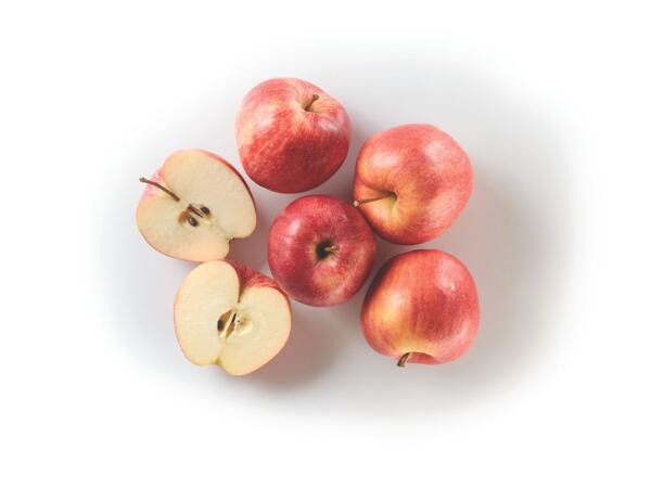 Red Apples Giga