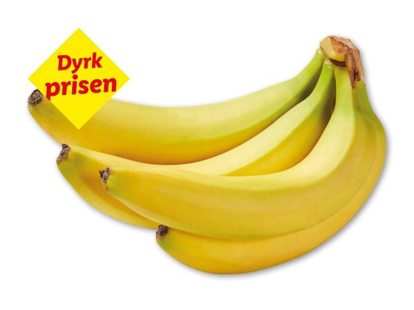 Rainforest-banan