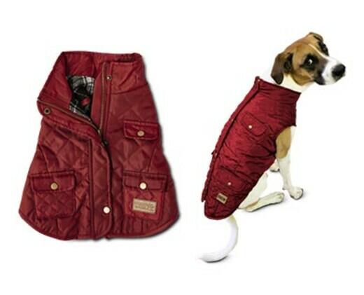 Heart to Tail 
 Pet Barn Coat