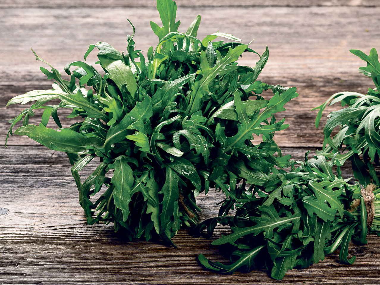 Rucola-Salat