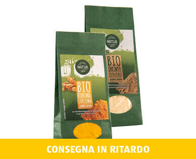 NATURE ACTIVE BIO 
 CURCUMA/ZENZERO BIO