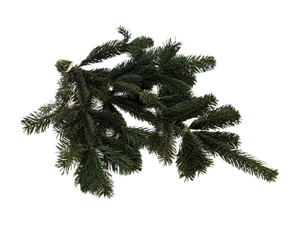 Pyntegran
