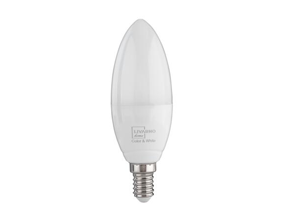 Smart LED Light Bulb